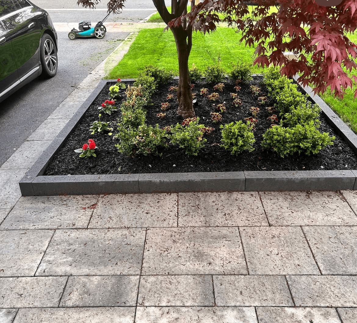 Tree ring garden with new shrubs, flowers and a stone border beside the driveway
